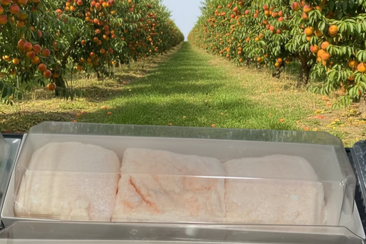 Marshmallow- White Peach, made from scratch.